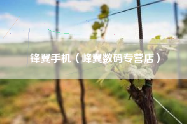 锋翼手机（峰翼数码专营店）