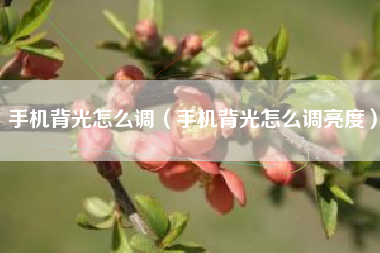 手机背光怎么调（手机背光怎么调亮度）