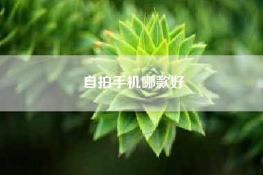自拍手机哪款好