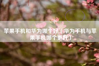 苹果手机和华为哪个好（华为手机与苹果手机哪个更好）