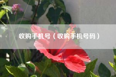 收购手机号（收购手机号码）