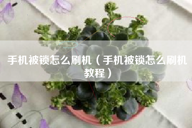 手机被锁怎么刷机（手机被锁怎么刷机教程）