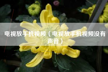 电视放手机视频（电视放手机视频没有声音）