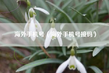 海外手机号（海外手机号接码）