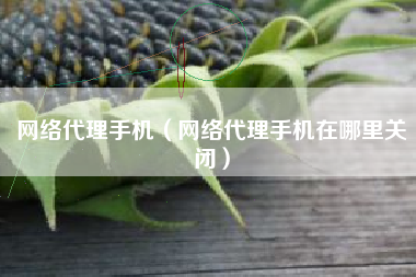 网络代理手机（网络代理手机在哪里关闭）