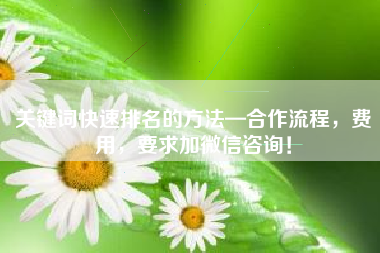 关键词快速排名的方法—合作流程，费用，要求加微信咨询！
