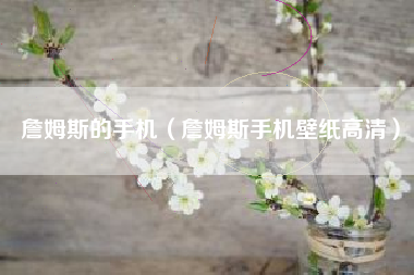 詹姆斯的手机（詹姆斯手机壁纸高清）