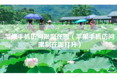 苹果手机访问限制在哪（苹果手机访问限制在哪打开）