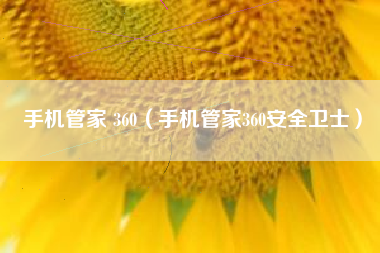手机管家 360（手机管家360安全卫士）