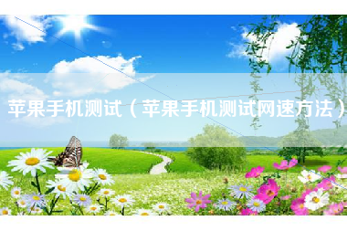 苹果手机测试（苹果手机测试网速方法）