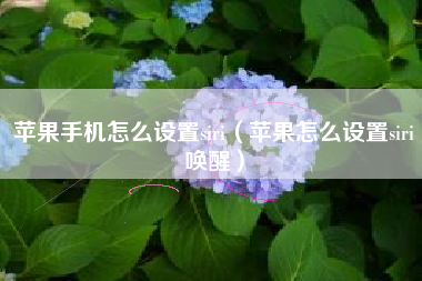 苹果手机怎么设置siri（苹果怎么设置siri唤醒）