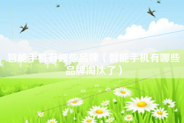 智能手机有哪些品牌（智能手机有哪些品牌淘汰了）