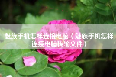 魅族手机怎样连接电脑（魅族手机怎样连接电脑传输文件）