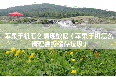 苹果手机怎么清理数据（苹果手机怎么清理数据缓存垃圾）