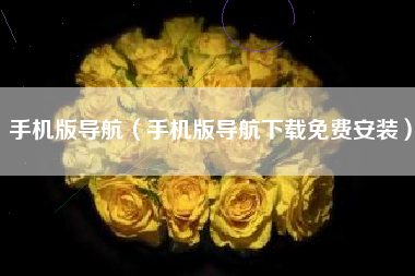 手机版导航（手机版导航下载免费安装）