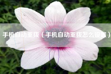 手机自动重拨（手机自动重拨怎么设置）