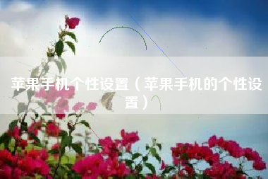 苹果手机个性设置（苹果手机的个性设置）