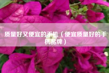 质量好又便宜的手机（便宜质量好的手机品牌）