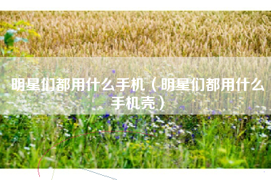 明星们都用什么手机（明星们都用什么手机壳）