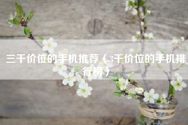 三千价位的手机推荐（3千价位的手机排行榜）