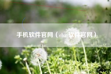 手机软件官网（chat软件官网）