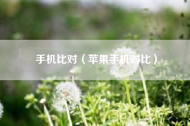 手机比对（苹果手机对比）