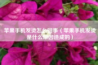 苹果手机发烫怎么回事（苹果手机发烫是什么原因造成的）