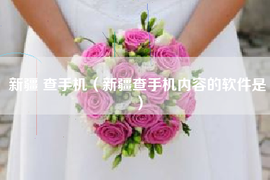 新疆 查手机（新疆查手机内容的软件是）