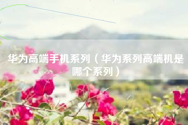 华为高端手机系列（华为系列高端机是哪个系列）