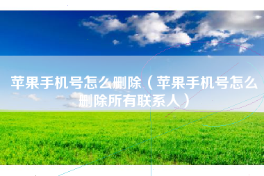 苹果手机号怎么删除（苹果手机号怎么删除所有联系人）
