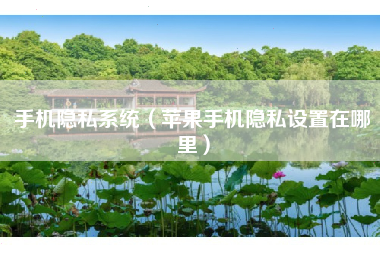 手机隐私系统（苹果手机隐私设置在哪里）