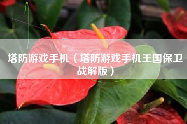 塔防游戏手机（塔防游戏手机王国保卫战解版）