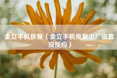 金立手机恢复（金立手机恢复出厂设置没反应）