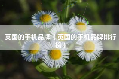 英国的手机品牌（英国的手机品牌排行榜）