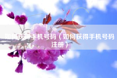 如何获得手机号码（如何获得手机号码注册）