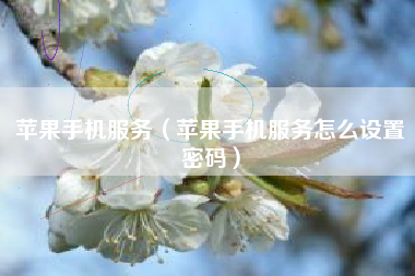 苹果手机服务（苹果手机服务怎么设置密码）