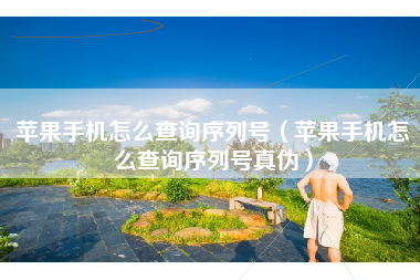 苹果手机怎么查询序列号（苹果手机怎么查询序列号真伪）