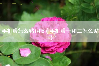 手机膜怎么贴1和2（手机膜一和二怎么贴）