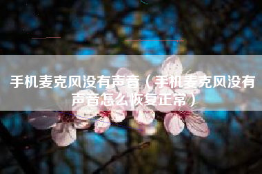 手机麦克风没有声音（手机麦克风没有声音怎么恢复正常）