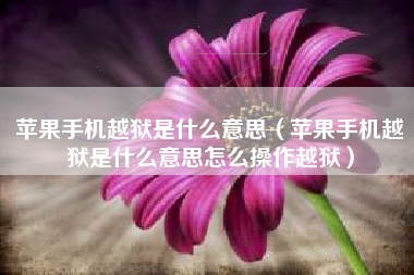 苹果手机越狱是什么意思（苹果手机越狱是什么意思怎么操作越狱）