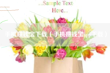 手机赚钱宝下载（手机赚钱宝app下载）