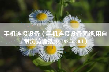 手机连接设备（手机连接设备网络,用自带浏览器搜索 192.168.0.1）