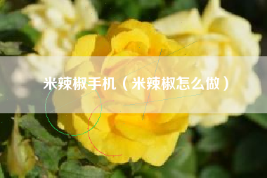 米辣椒手机（米辣椒怎么做）