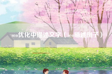 seo优化中描述文字（seo描述例子）