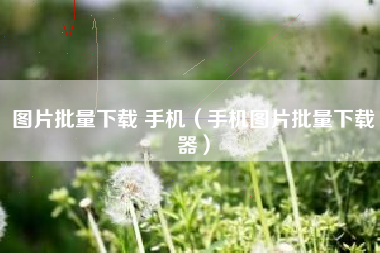图片批量下载 手机（手机图片批量下载器）