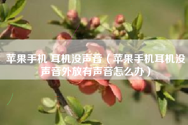 苹果手机 耳机没声音（苹果手机耳机没声音外放有声音怎么办）