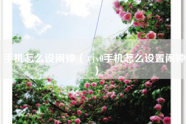 手机怎么设闹钟（ⅵv0手机怎么设置闹钟）