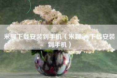 米聊下载安装到手机（米聊app下载安装到手机）