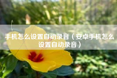 手机怎么设置自动录音（安卓手机怎么设置自动录音）