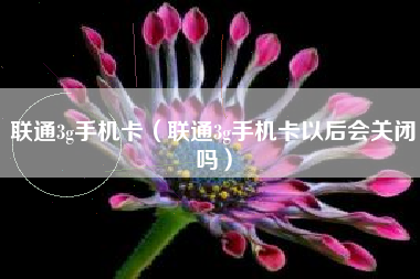 联通3g手机卡（联通3g手机卡以后会关闭吗）